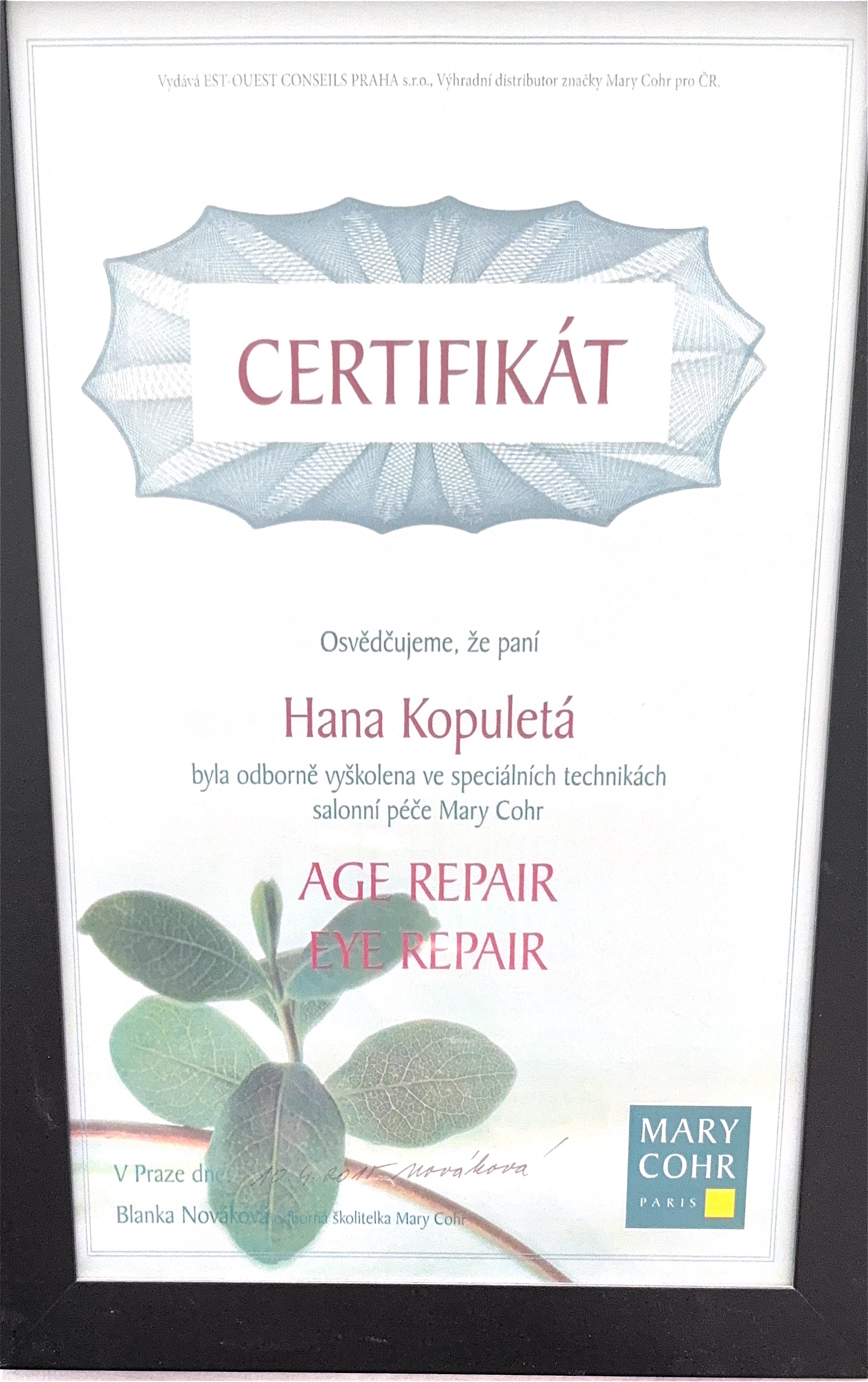 Certifikát 5
